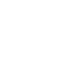 icone facebook