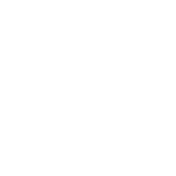 icone instagram